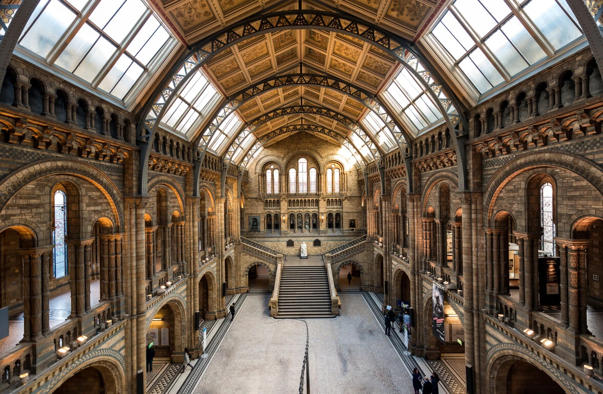 Classic London museum hall showcasing art and cultural collections.