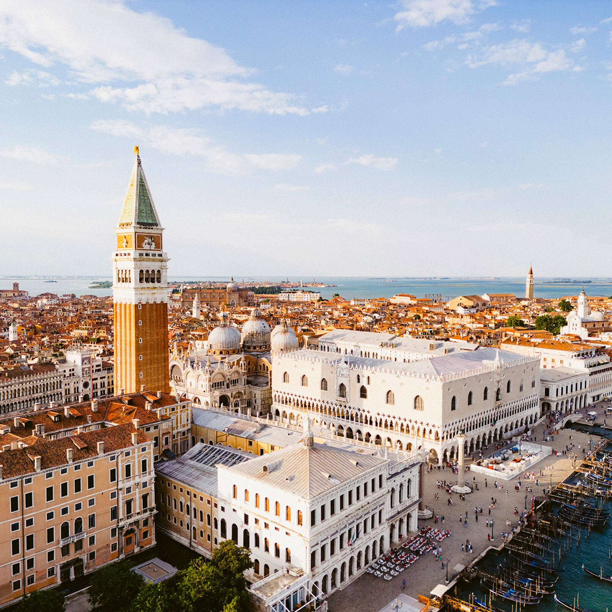 Mostra de Venise